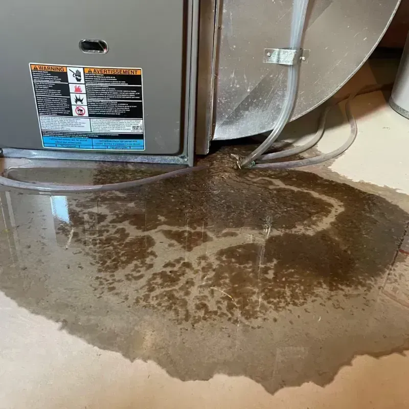 Appliance Leak Cleanup in Coos County, OR